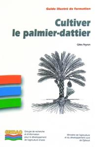 Cultiver le palmier-dattier