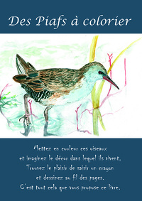 Des Piafs à colorier