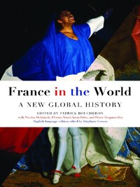 FRANCE IN THE WORLD A NEW GLOBAL HISTORY /ANGLAIS