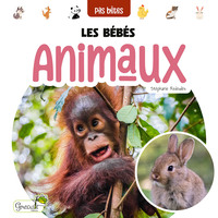 LES BEBES ANIMAUX