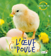 DE L'OEUF A LA POULE