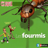 FOURMIS