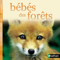 BEBES DES FORETS