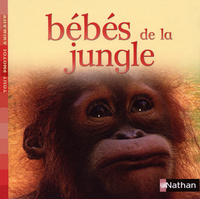 BEBES DE LA JUNGLE