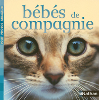 BEBES DE COMPAGNIE