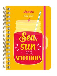 L'agenda de mon année sept. 2022- déc. 2023 - Sea, sun & smoothie, une année vitaminée, spirales