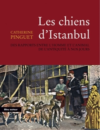 LES CHIENS D'ISTANBUL