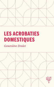 LES ACROBATIES DOMESTIQUES