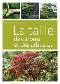 LA TAILLE DES ARBRES ET DES ARBUSTES
