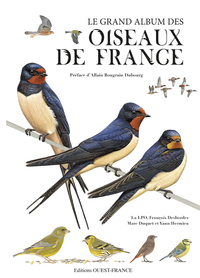 Le Grand Album des oiseaux de France