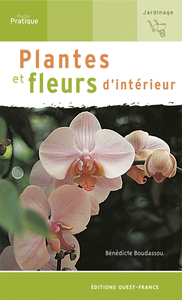 Plantes et fleurs d'intérieur