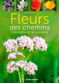 Fleurs des chemins