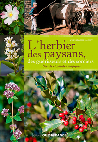 L'HERBIER DES PAYSANS, DES GUERISSEURS ET DES SORCIERS