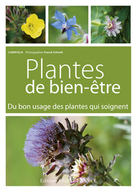 PLANTES DE BIEN-ETRE