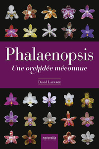 PHALAENOPSIS. UNE ORCHIDEE MECONNUE
