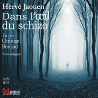 DANS L'OEIL DU SCHIZO (CD MP3)