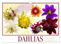 DAHLIAS UNE RICHESSE DE VARIETES ET DE NOMS (CALENDRIER MURAL 2024 DIN A4 VERTICAL), CALVENDO CALEND