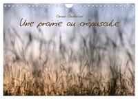 UNE PRAIRIE AU CREPUSCULE (CALENDRIER MURAL 2024 DIN A4 VERTICAL), CALVENDO CALENDRIER MENSUEL - BEA