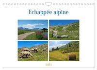 ECHAPPEE ALPINE (CALENDRIER MURAL 2025 DIN A4 VERTICAL), CALVENDO CALENDRIER MENSUEL - ECHAPPEE DANS