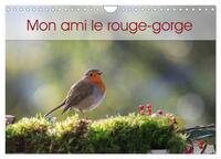 MON AMI LE ROUGE-GORGE (CALENDRIER MURAL 2024 DIN A4 VERTICAL), CALVENDO CALENDRIER MENSUEL - UNE AN