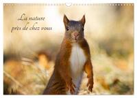 LA NATURE PRES DE CHEZ VOUS (CALENDRIER MURAL 2024 DIN A3 VERTICAL), CALVENDO CALENDRIER MENSUEL - L