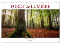 FORET DE LUMIERE (CALENDRIER MURAL 2024 DIN A4 VERTICAL), CALVENDO CALENDRIER MENSUEL - MAGIE DE L'O