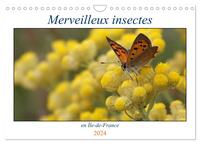 MERVEILLEUX INSECTES EN ILE-DE-FRANCE (CALENDRIER MURAL 2024 DIN A4 VERTICAL), CALVENDO CALENDRIER M