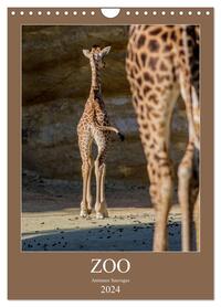 ZOO ANIMAUX SAUVAGES (CALENDRIER MURAL 2024 DIN A4 HORIZONTAL), CALVENDO CALENDRIER MENSUEL - ILLUST