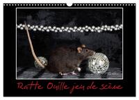 RATTE OUILLE JEU DE SCENE (CALENDRIER MURAL 2024 DIN A3 VERTICAL), CALVENDO CALENDRIER MENSUEL - PET