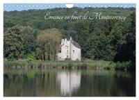 BALADE EN FORET DE MONTMORENCY (CALENDRIER MURAL 2024 DIN A4 VERTICAL), CALVENDO CALENDRIER MENSUEL