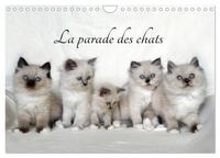 LA PARADE DES CHATS (CALENDRIER MURAL 2024 DIN A4 VERTICAL), CALVENDO CALENDRIER MENSUEL - MOIS APRE