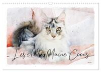 LES CHATS MAINE COONS (CALENDRIER MURAL 2024 DIN A3 VERTICAL), CALVENDO CALENDRIER MENSUEL - SERIE D