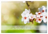 AU PLUS PRES DES FLEURS (CALENDRIER MURAL 2024 DIN A4 VERTICAL), CALVENDO CALENDRIER MENSUEL - FLEUR