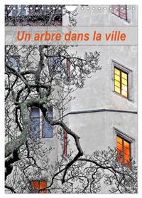 UN ARBRE DANS LA VILLE (CALENDRIER MURAL 2024 DIN A4 HORIZONTAL), CALVENDO CALENDRIER MENSUEL - PAYS