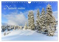 NATURE SUISSE (CALENDRIER MURAL 2024 DIN A4 VERTICAL), CALVENDO CALENDRIER MENSUEL - LES PAYSAGES DE