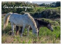 CHEVAL CAMARGUAIS (CALENDRIER MURAL 2024 DIN A3 VERTICAL), CALVENDO CALENDRIER MENSUEL - LA BEAUTE D