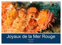 JOYAUX DE LA MER ROUGE (CALENDRIER MURAL 2024 DIN A3 VERTICAL), CALVENDO CALENDRIER MENSUEL - DECOUV