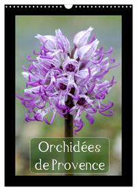 ORCHIDEES DE PROVENCE (CALENDRIER MURAL 2024 DIN A3 HORIZONTAL), CALVENDO CALENDRIER MENSUEL - ORCHI