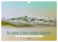 AU COEUR D'UNE NATURE COLOREE (CALENDRIER MURAL 2024 DIN A4 VERTICAL), CALVENDO CALENDRIER MENSUEL -