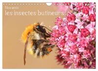 Nos amis, les insectes butineurs (Calendrier mural 2025 DIN A4 vertical), CALVENDO calendrier mensuel