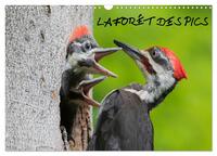 LA FORET DES PICS (CALENDRIER MURAL 2024 DIN A3 VERTICAL), CALVENDO CALENDRIER MENSUEL - 13 PHOTOS D