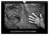 DES ELEPHANTS ET DES HOMMES (CALENDRIER MURAL 2024 DIN A4 VERTICAL), CALVENDO CALENDRIER MENSUEL - L