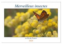 MERVEILLEUX INSECTES EN ILE-DE-FRANCE (CALENDRIER MURAL 2024 DIN A3 VERTICAL), CALVENDO CALENDRIER M