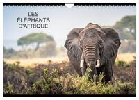 ELEPHANTS D'AFRIQUE (CALENDRIER MURAL 2024 DIN A4 VERTICAL), CALVENDO CALENDRIER MENSUEL - 12 MOIS A