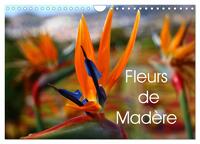 FLEURS DE MADERE (CALENDRIER MURAL 2024 DIN A4 VERTICAL), CALVENDO CALENDRIER MENSUEL - UNE SELECTIO