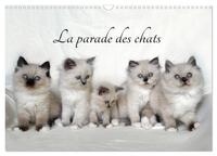LA PARADE DES CHATS (CALENDRIER MURAL 2024 DIN A3 VERTICAL), CALVENDO CALENDRIER MENSUEL - MOIS APRE