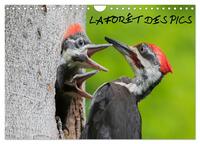 LA FORET DES PICS (CALENDRIER MURAL 2024 DIN A4 VERTICAL), CALVENDO CALENDRIER MENSUEL - 13 PHOTOS D