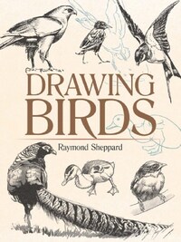 DRAWING BIRDS