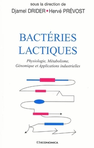 BACTERIE LACTIQUE
