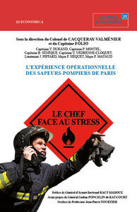 CHEF FACE AU STRESS (LE)